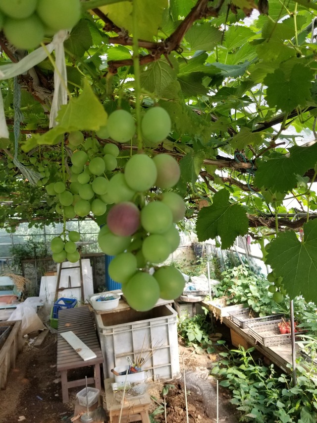 20220711_075702_copy_1512x2016