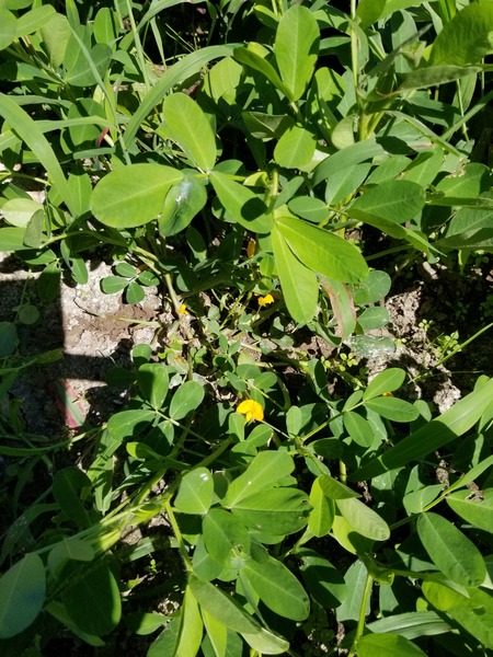 20190726_091301-1620x2160