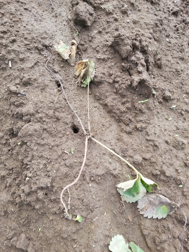 IMG_20230910_075938_copy_1512x2016