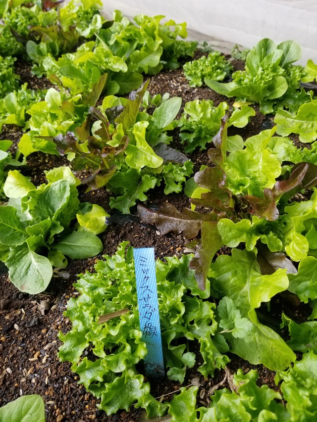 20240122_135845_copy_1512x2016