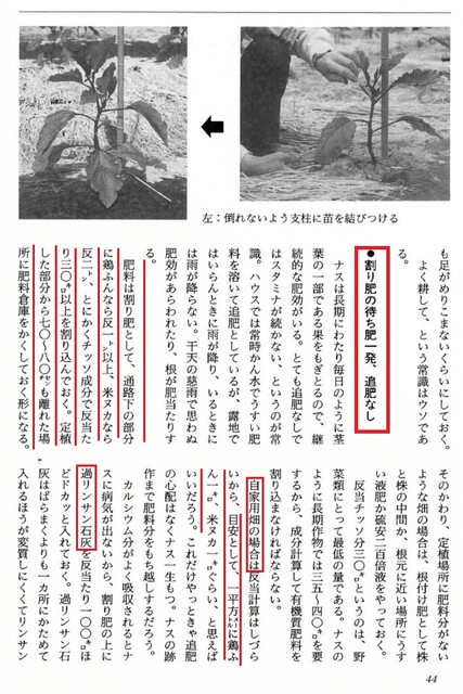 NOJI1