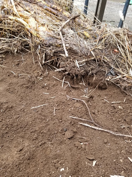 モミガラと米糠の効用 のじさんの徒然草 モミガラと米糠の効用 のじさんの徒然草