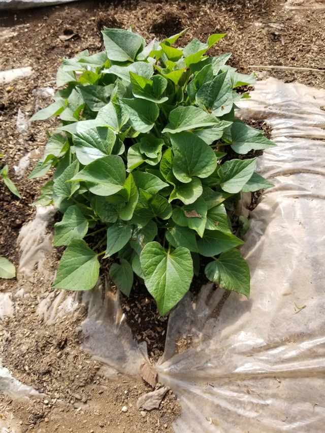 20230417_143629_copy_1512x2016