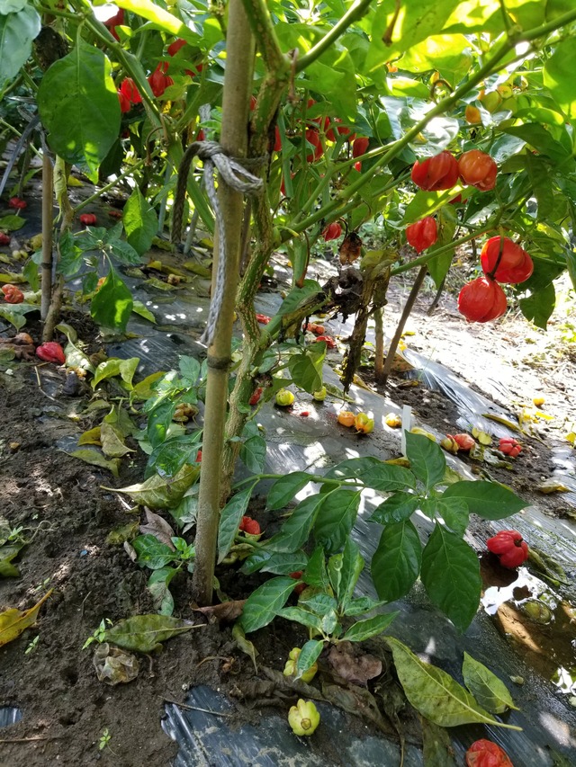 20210915_091117_copy_2268x3024