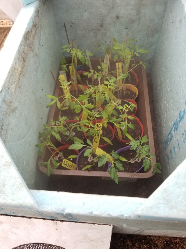 20220322_081153_copy_2268x3024