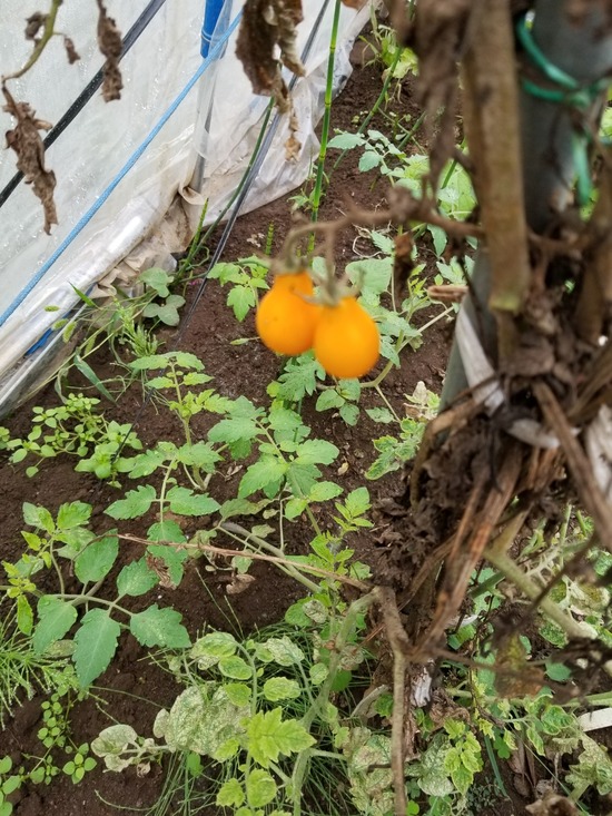 20191015_073450-1620x2160