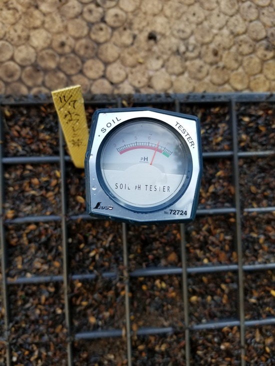 20191107_082533-1620x2160