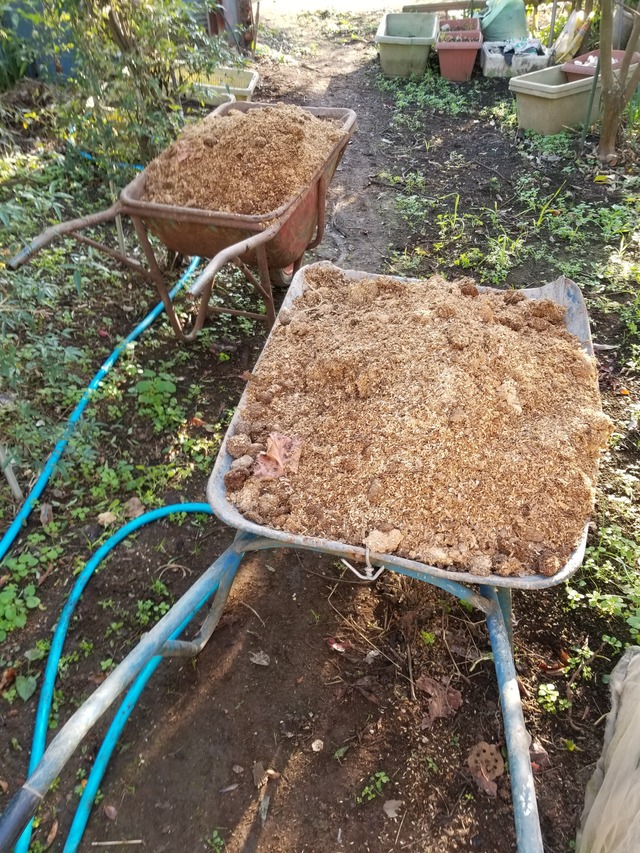 20201116_080510_copy_2268x3024