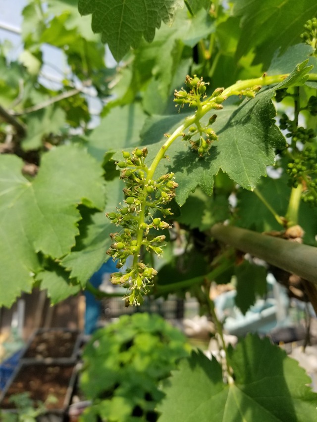 20230504_092025_copy_1512x2016