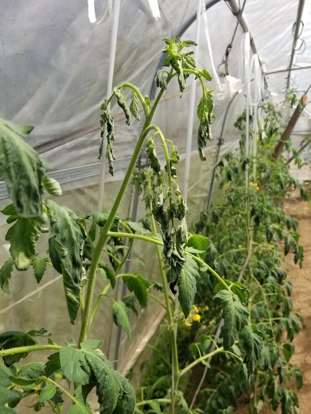 20230616_135353_copy_1512x2016