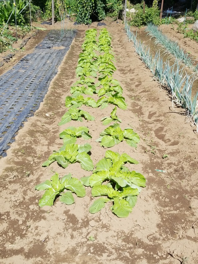 IMG_20231006_105305_copy_1512x2016