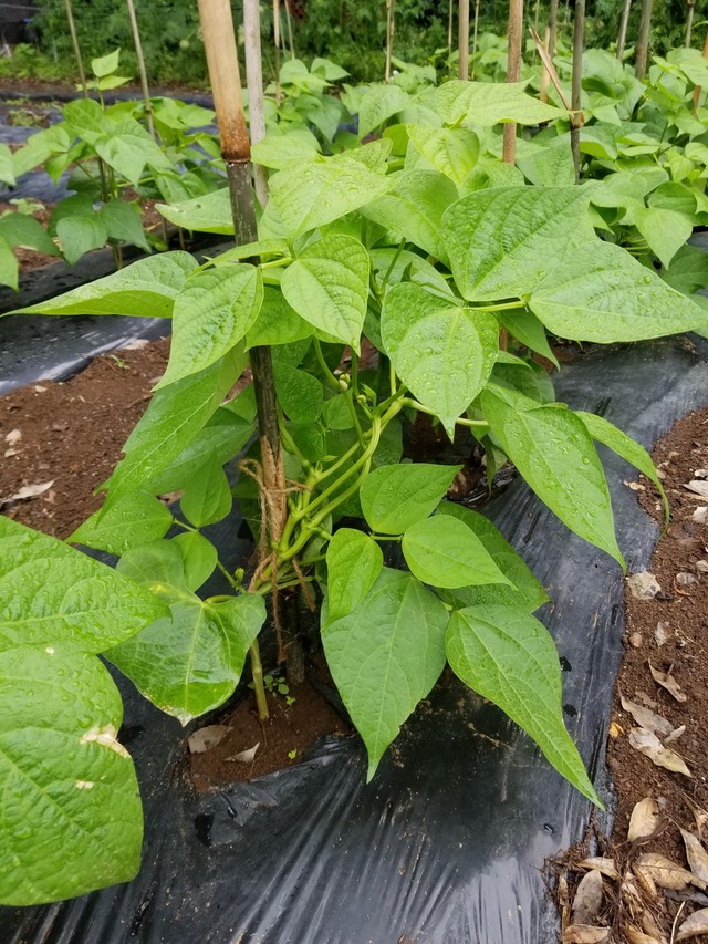 20230520_100348_copy_1512x2016