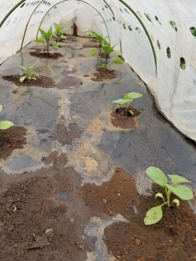 20230430_080816_copy_1512x2016