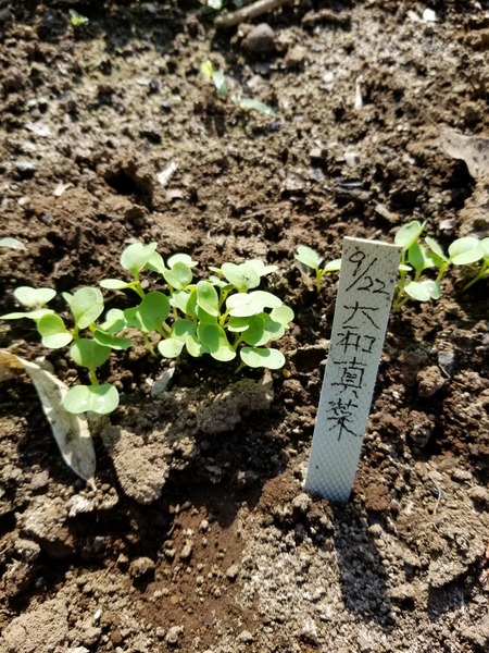 20190927_084315-1620x2160