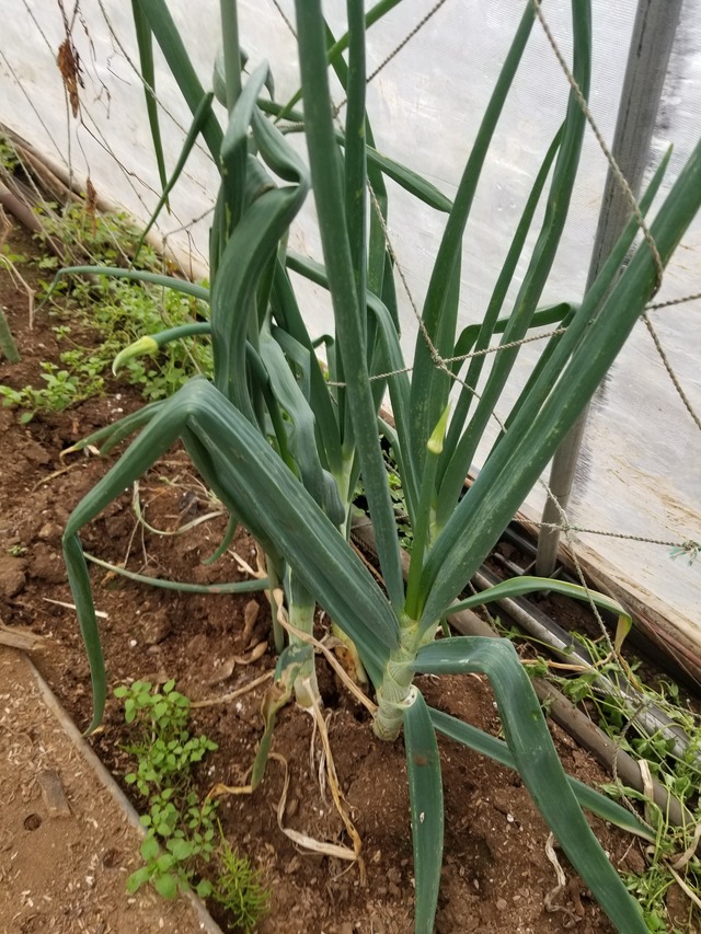 20240404_075942_copy_2268x3024