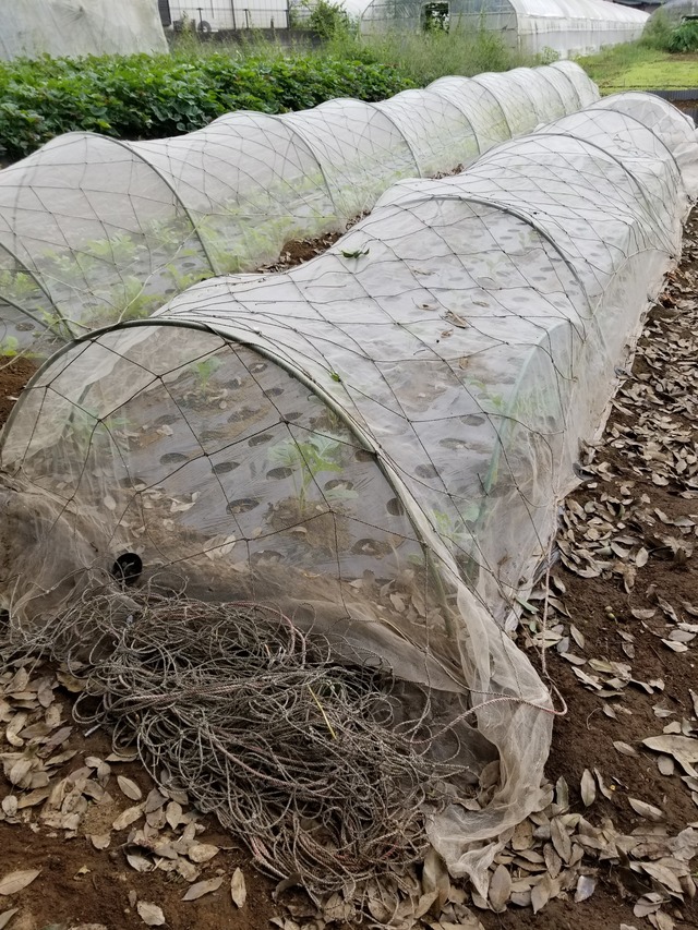 20210917_075038_copy_2268x3024