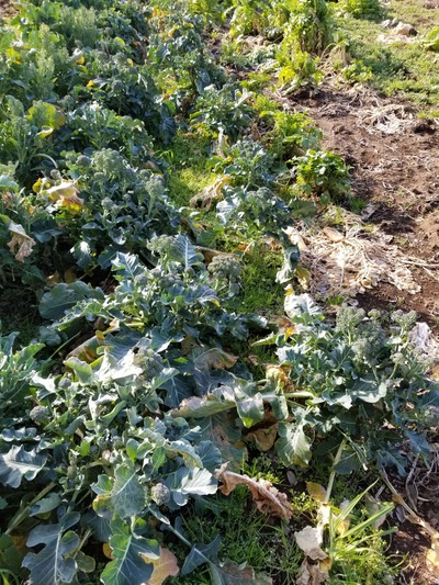 20200220_085304-2268x3024