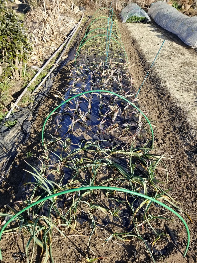 20220131_081306_copy_2268x3024