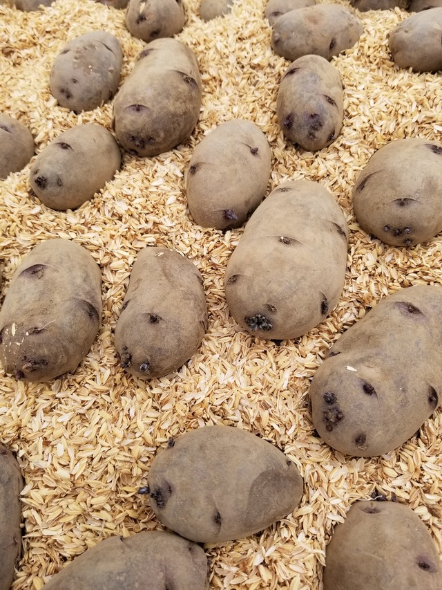 20240308_100254_copy_2268x3024