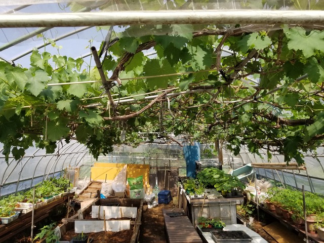 20230504_091751_copy_2016x1512