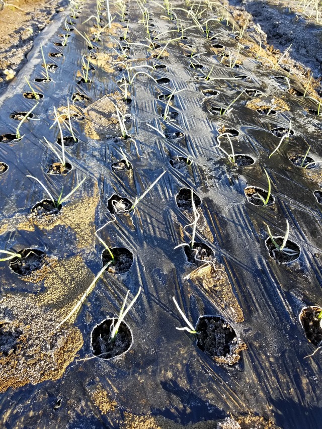 20211220_075037_copy_2268x3024