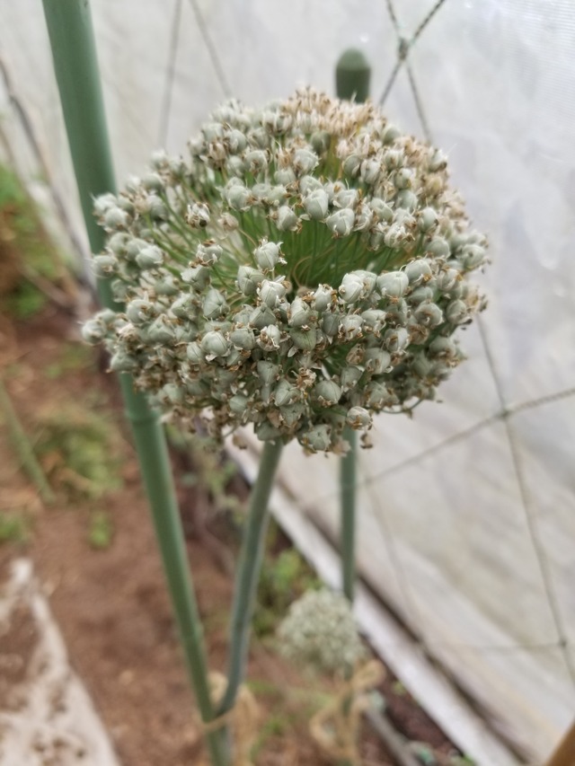 20230530_074649_copy_1512x2016