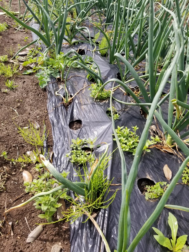 20240408_092819_copy_2268x3024