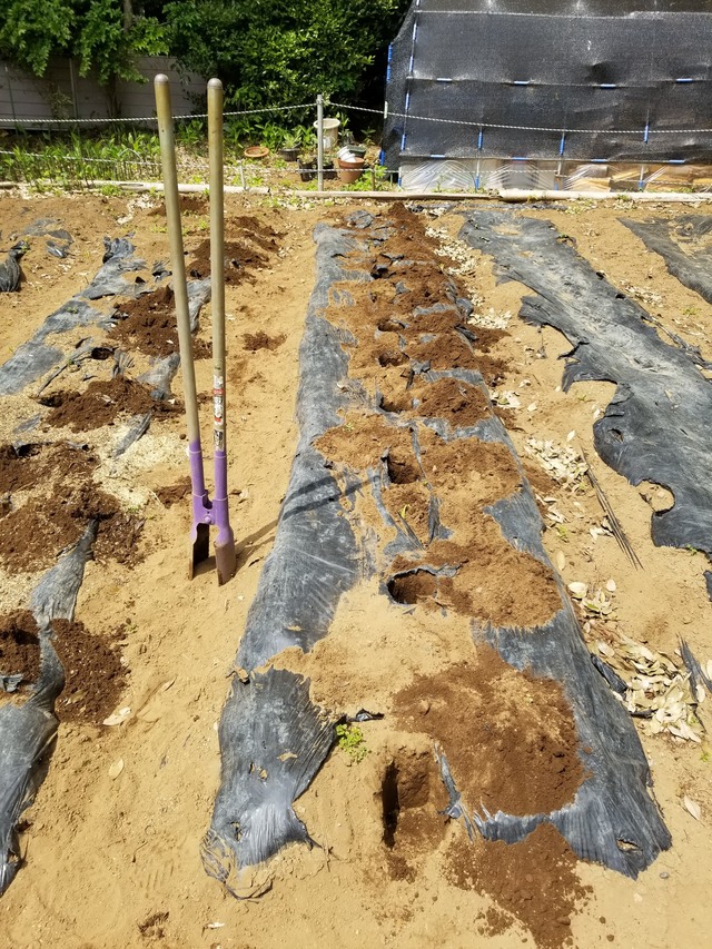 20230425_110120_copy_1512x2016