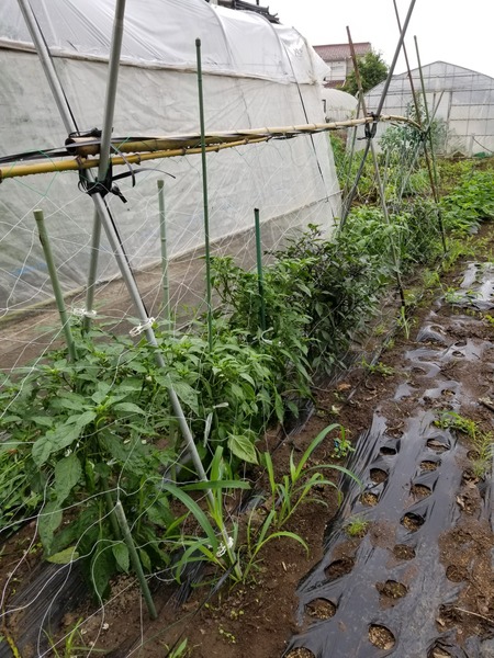 20190702_084420-1620x2160