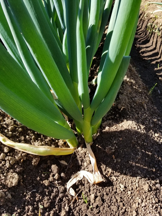 20200312_093728_copy_2268x3024