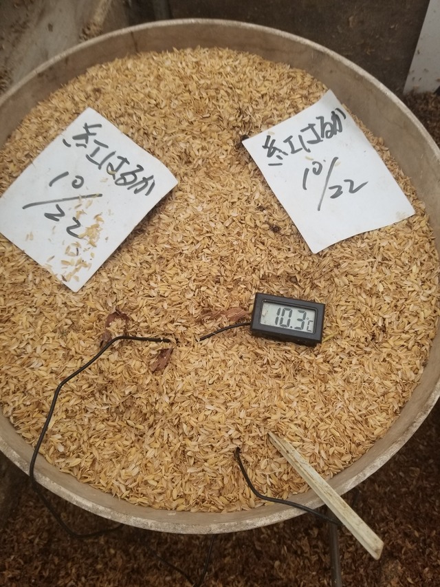 20240111_074049_copy_1512x2016