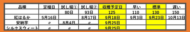 c81146ea-s