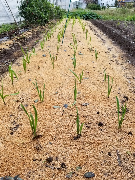 20191022_151431-1620x2160