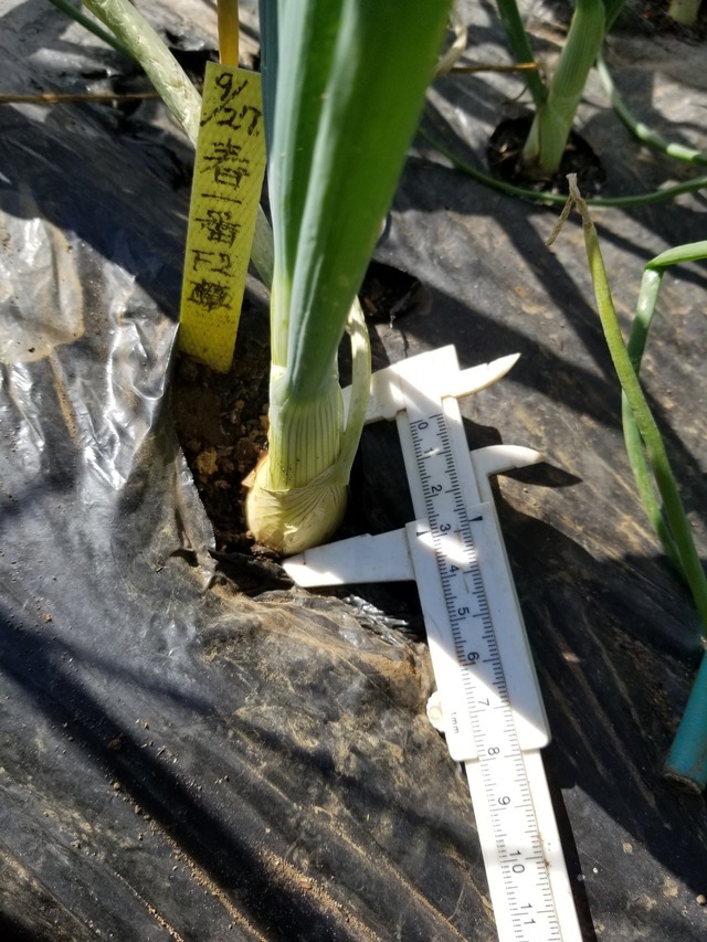 20231122_110420_copy_1512x2016