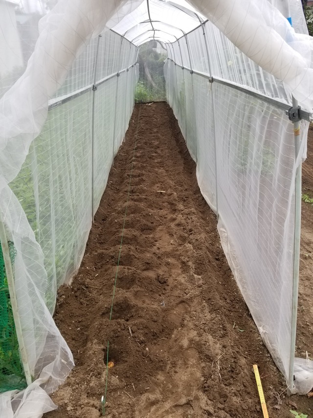 20220829_105416_copy_1512x2016