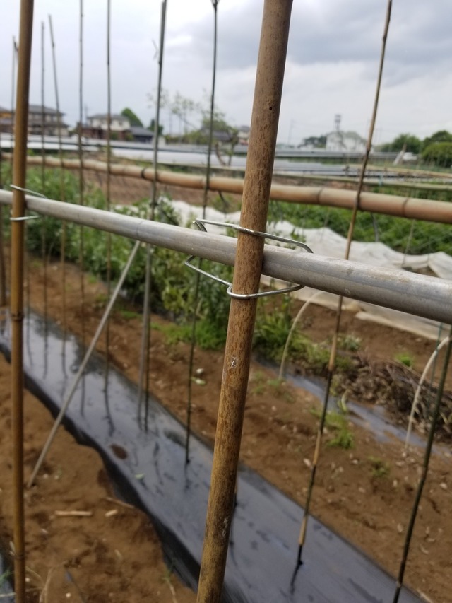 20230513_104559_copy_1512x2016