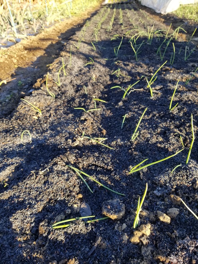 20211223_074904_copy_2268x3024