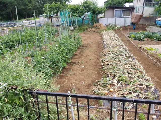 20190603_071356-2160x1620