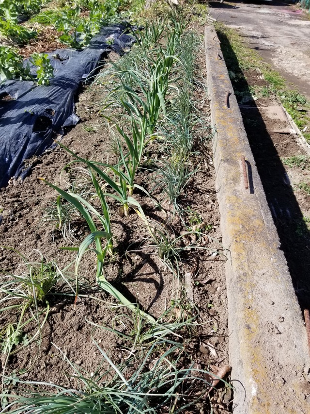 20200223_111528-2268x3024