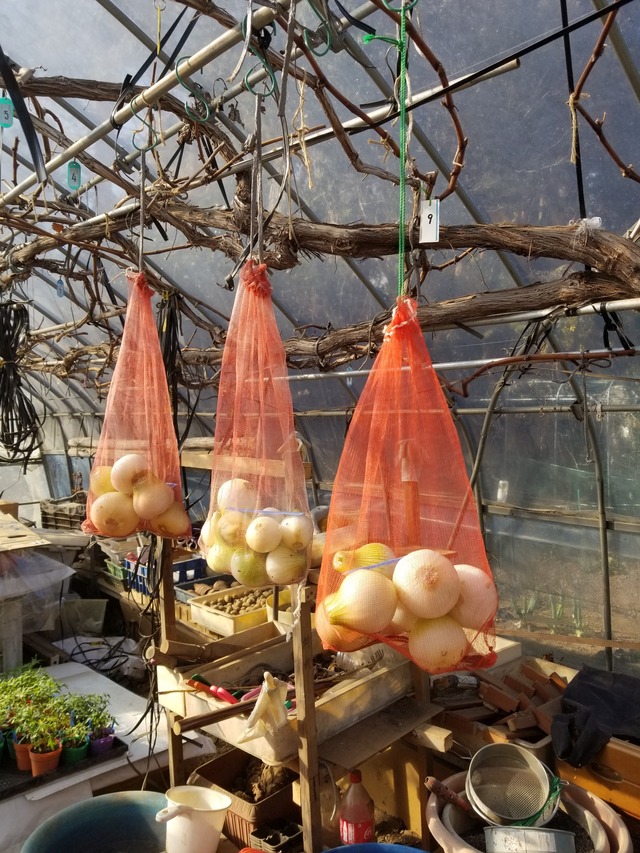 20240321_151711_copy_2268x3024