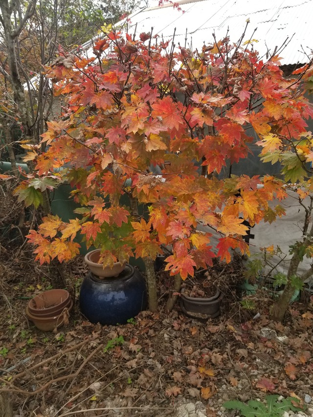 20211121_101512_copy_2268x3024