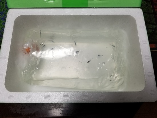 20191127_175622-1620x2160