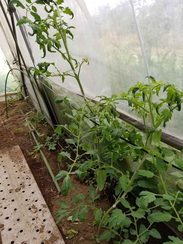 20210803_083912_copy_2268x3024