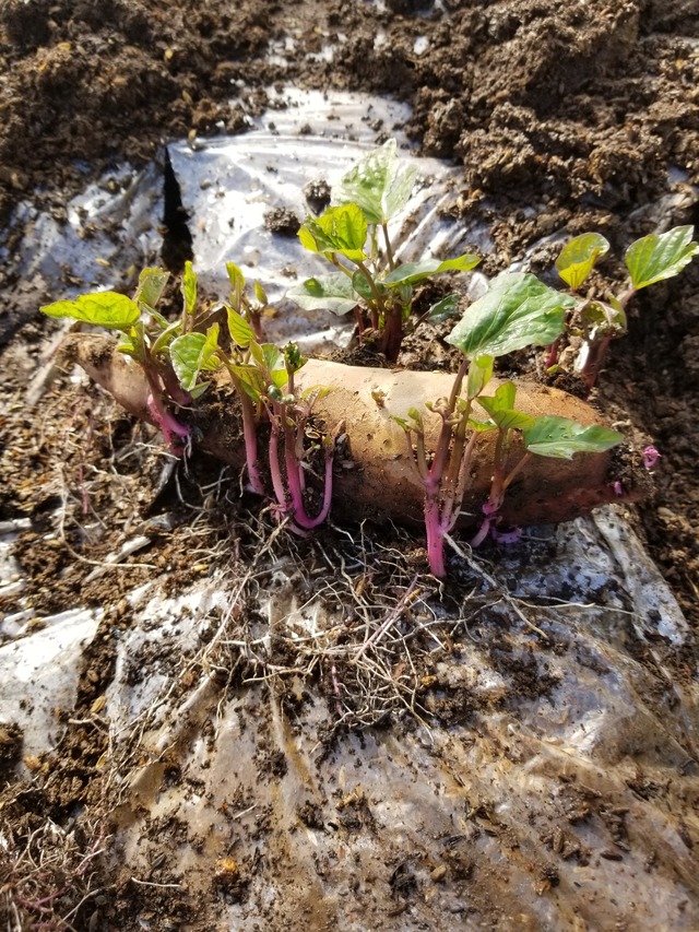 20230311_143305_copy_1209x1612