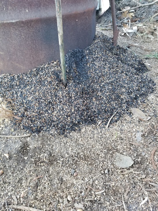 20191117_081943-1620x2160