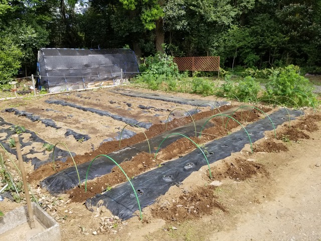 20230429_093343_copy_2016x1512