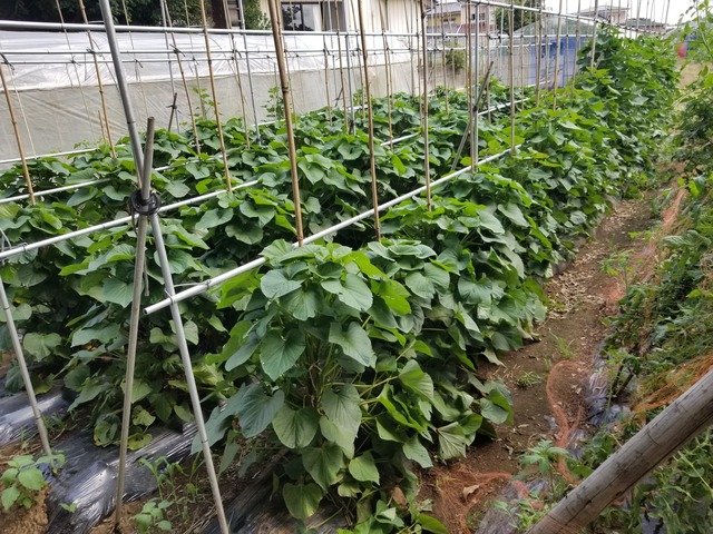 20220721_134444_copy_2016x1512