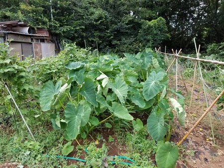 20190816_082709-2160x1620