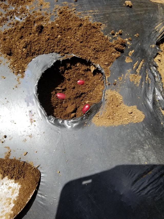 20230429_103438_copy_1512x2016