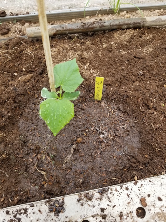 20230719_093509_copy_1512x2016